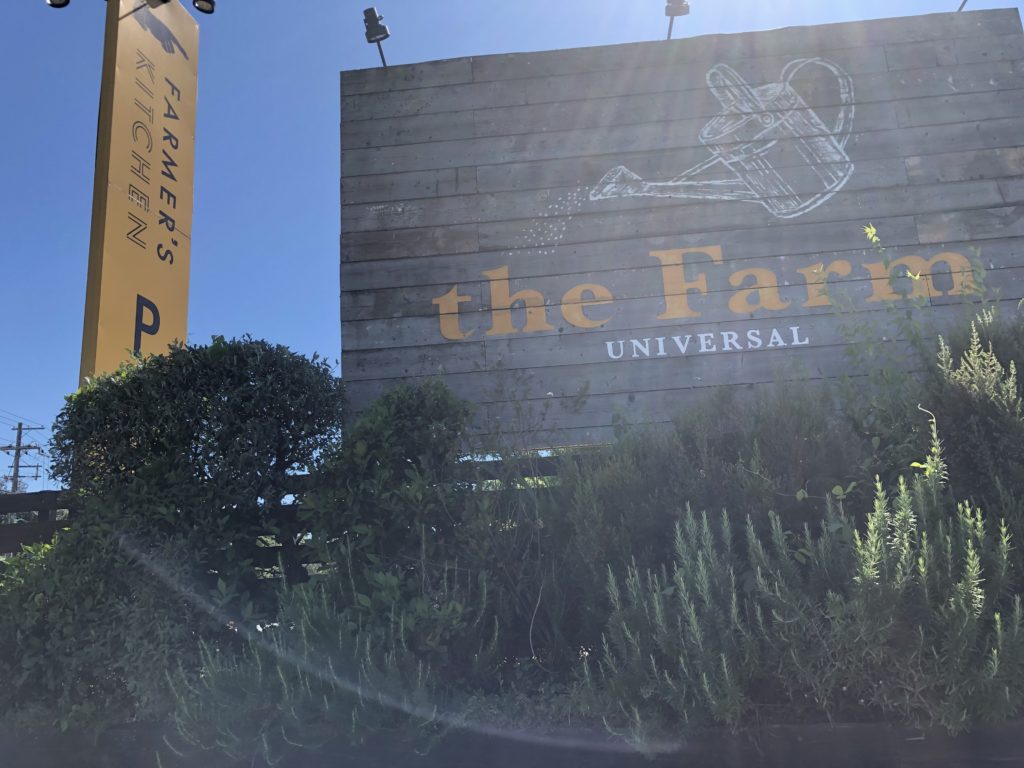 大阪で人気の観葉植物店 The Farm Universal ザファームユニバーサル に行ってみた ちょこっとブログ